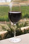 Cellarmaster Reds
